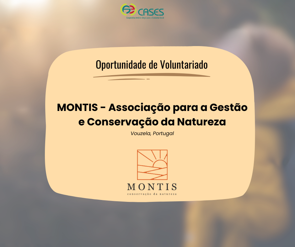 Fotografia